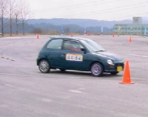 opty